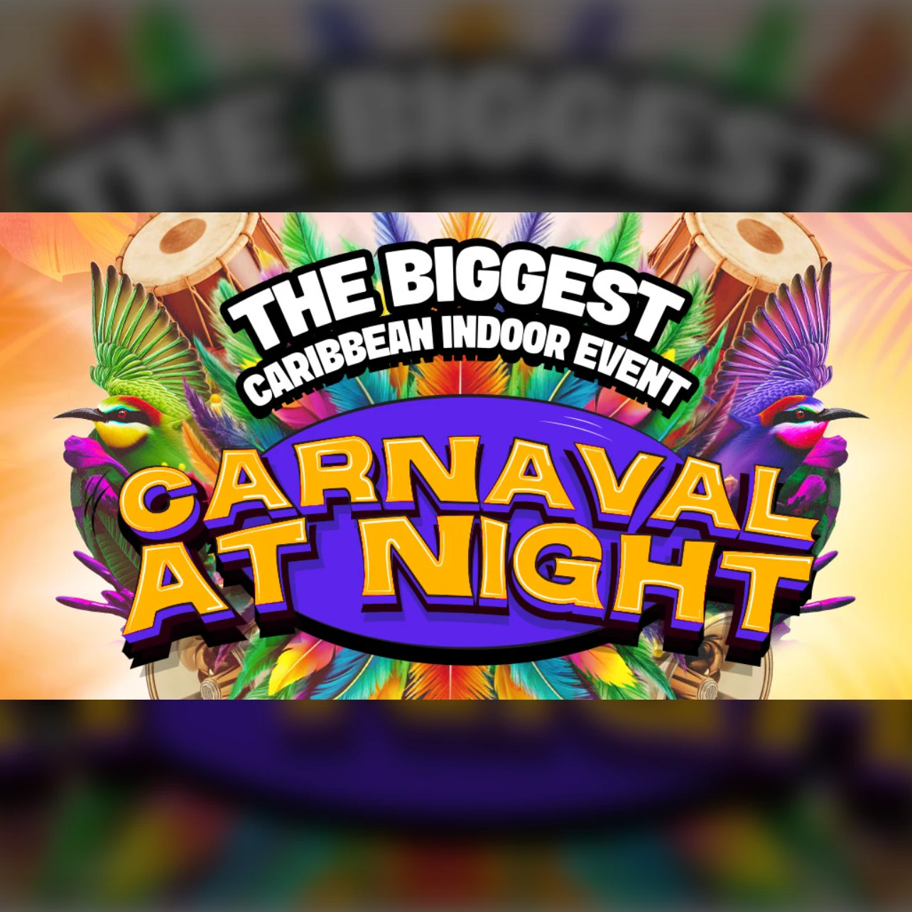 Zomercarnaval – Carnaval at Night Saturday
